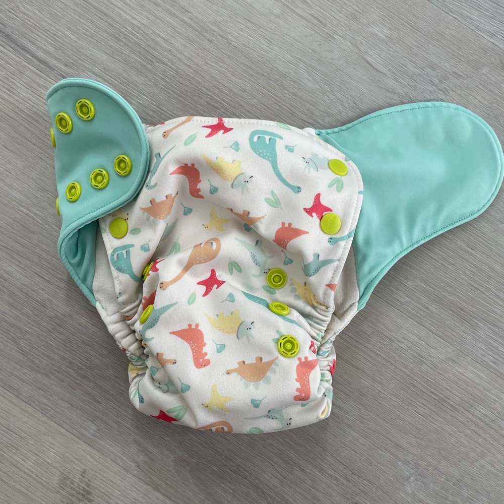 Organic cotton Grovia AIO Dinosaur cloth Diaper